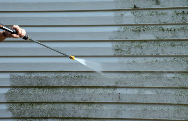 Best Gutter Cleaning  in Boyne City, MI
