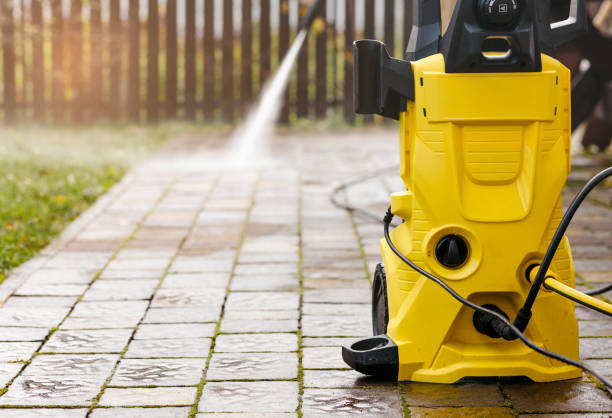 Best Animal Enclosure Cleaning  in Boyne City, MI