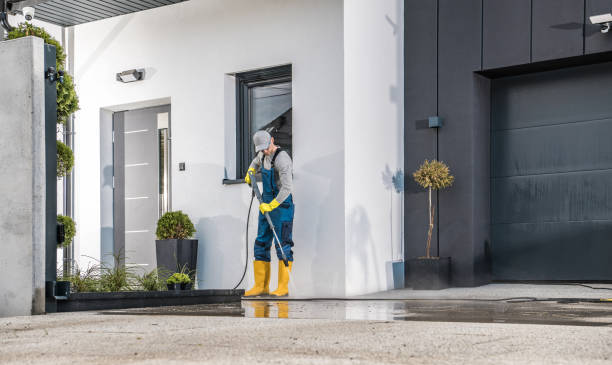 Best Roof Washing  in Boyne City, MI